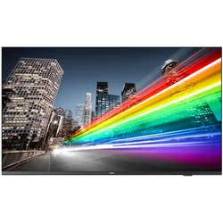 Philips 65BFL2214 Professional Signage Smart TV 164 cm 65 Zoll