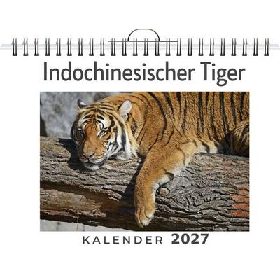 Indochinesischer Tiger