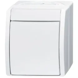 Busch-Jaeger Wipptaster,Schließer 2621 W-54