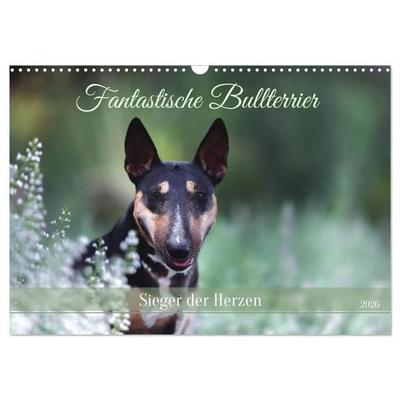Fantastische Bullterrier - Sieger im Herzen (Wandkalender 2026 DIN A3 quer), CALVENDO Monatskalender