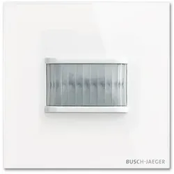 Busch-Jaeger Busch-Wächter 180 UP TBW/U.1.11-CG