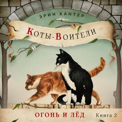 Огонь и лед - Erin Hunter, Audio, 9789180132831