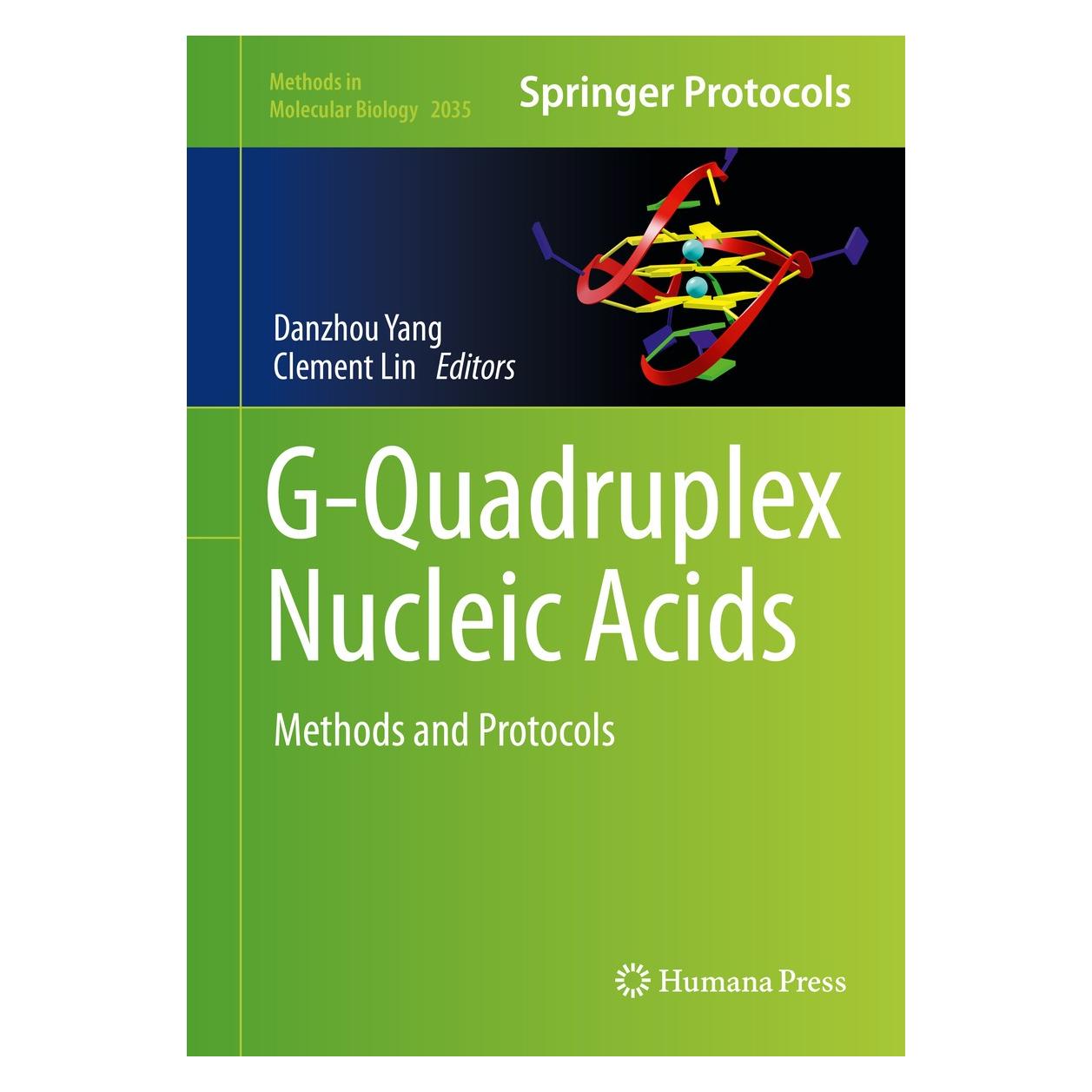 Springer G-Quadruplex DNA (Englisch, Hardcover, Clement Lin, Danzhou Yang) (9781493996650)