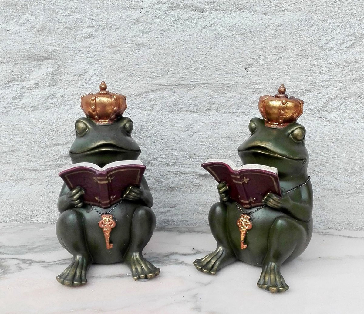 Set boekensteunen met koninklijke kikkers