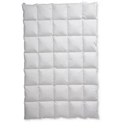 Centa-Star Winterbettdecke Golf von Alaska 135 x 200 cm Baumwolle Braun Sahara