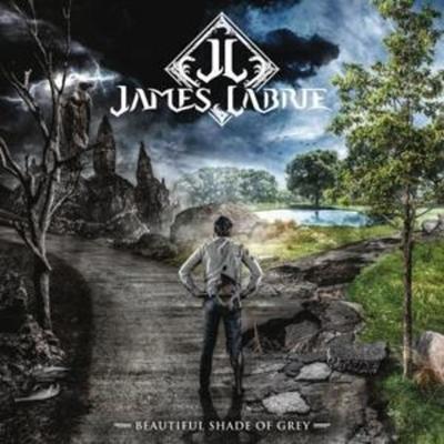 Beautiful Shade Of Grey - James LaBrie, CD