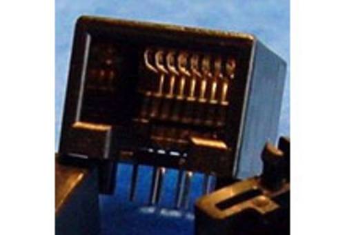 Molex Cat 3 Mod Jack/Plug 955016669 Buchse Schwarz