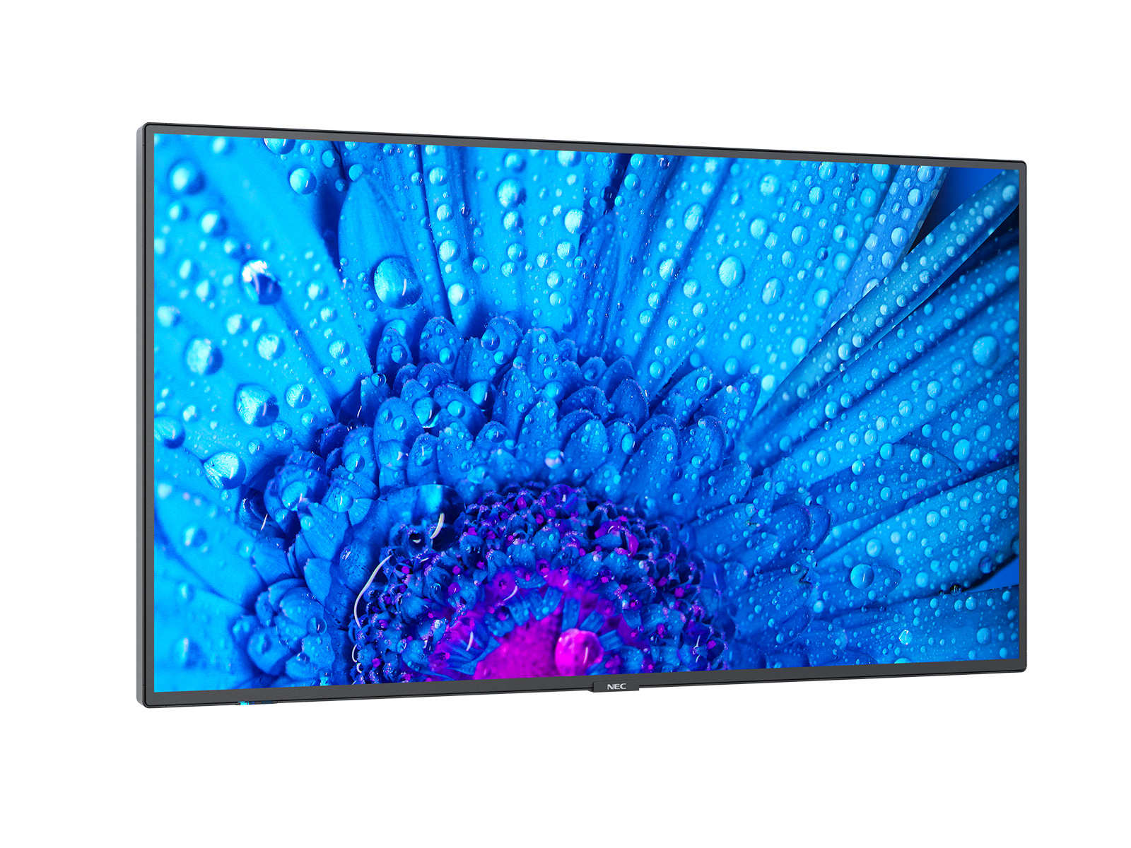 NEC MultiSync M491, Digital Signage Flachbildschirm, 124,5 cm (49"), IPS, 3840 x 2160 Pixel, 24/7