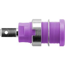 Schützinger DI SEB 6450 Ni / PVI Sicherheits-Einbaubuchse Violett 1 St. Piece