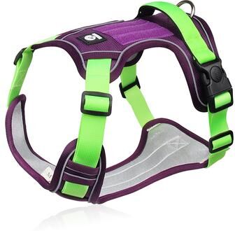 PetsAreLife Reflective Adjustable Dog Harness For Walk, Durable Oxford Training Vest, Dog Labrador Army Cloth, Comfortable Fit purple m