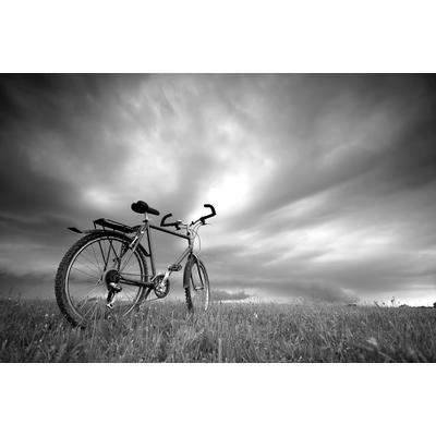 Papermoon "Fahrrad Schwarz & Weiß"