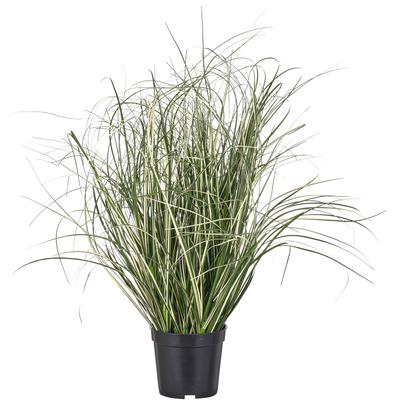 Kunstgras CREATIV GREEN "Grasbusch Miscanthus variegatus", grün (grün, weiß), H:50cm, Obermaterial: 100% Kunststoff, Kunstpflanzen, mit filigranen Grashalmen