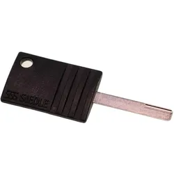 Siedle 210007513-00 Schlüssel für Module Montagerahmen im Vario 611-System