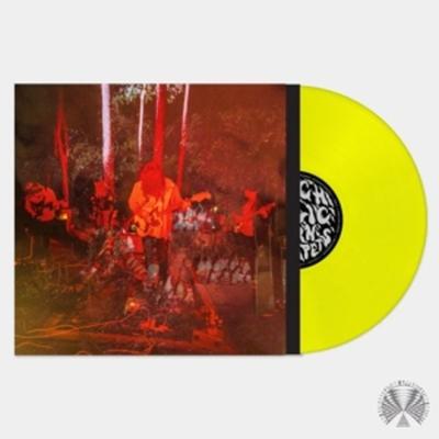 Levitation Sessions - Psychedelic Porn Crumpets, Vinyl