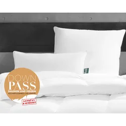 Frankenstolz »fan Alaska« Kissen Biobasiert Kissen extra soft / 40x80 cm / 480g/120g