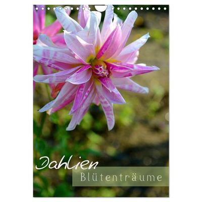 Dahlien - Blütenträume (Wandkalender 2026 DIN A4 hoch), CALVENDO Monatskalender
