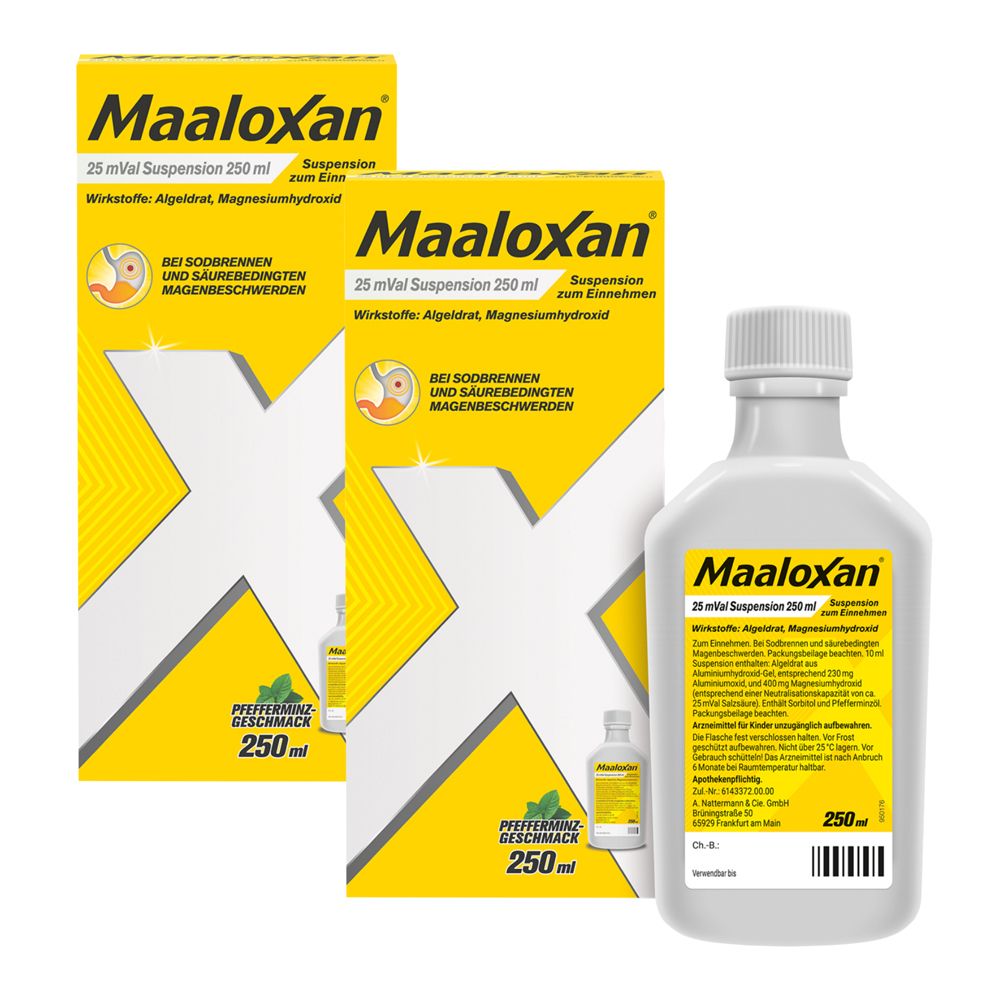 Maaloxan 25 mVal Suspension x2 2x250 ml