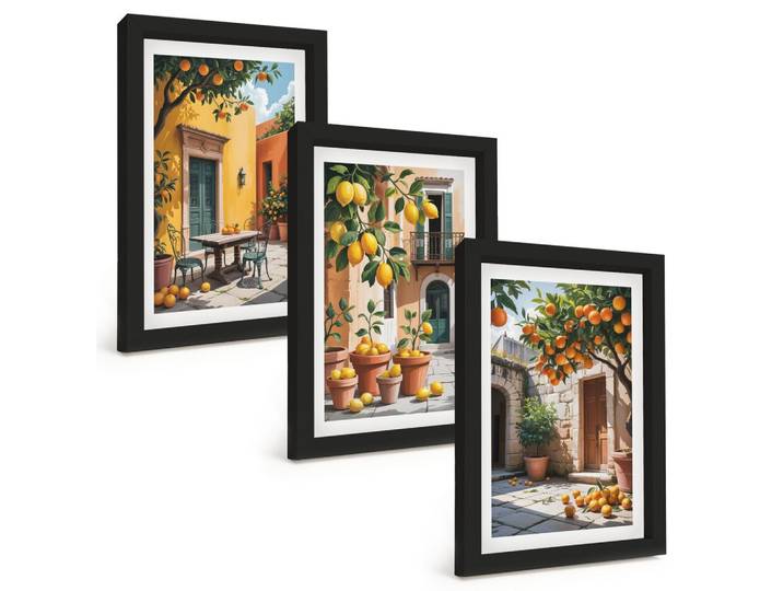 BILDER SET 3er Set - 20x30 cm Schwarzer Rahmen - Zitrusfrüchte im Garten