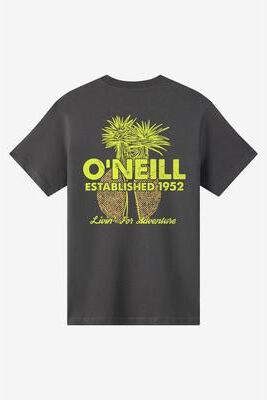 O'Neill s Landmark Classic T-Shirt in Dark Shadow, Size Large