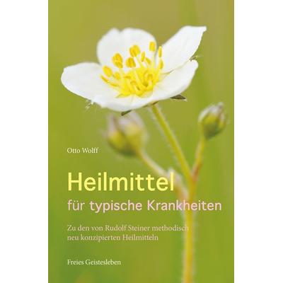 Heilmittel für typische Krankheiten, Taschenbuch von Otto Wolff, Freies Geistesleben, 978-3-7725-1280-3