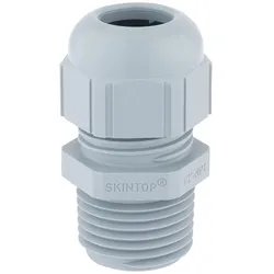 Lapp Zubehör SKINTOP-STR-NPT-3/8""-RAL- STR 3/8 R7001 SGY