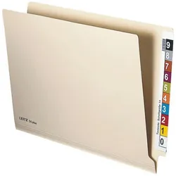 Leitz, Mappe, Einstellmappe OrgacolorPlus, A4, mit Tab, chamois (A4, 50x)