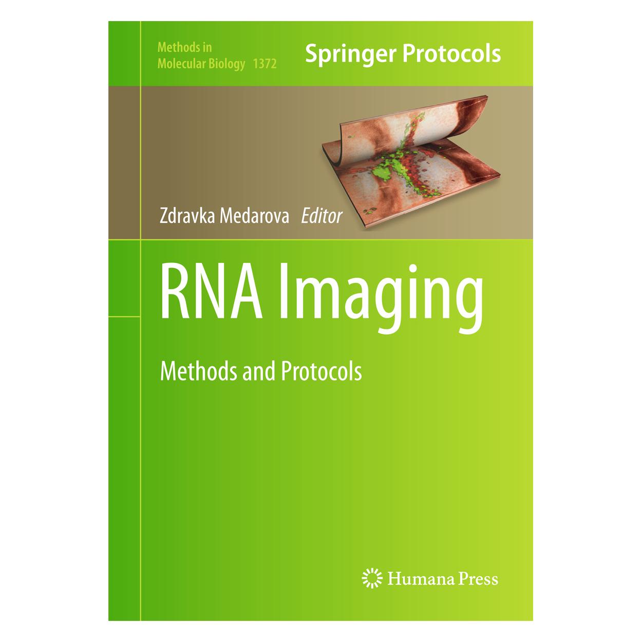 Springer RNA Imaging (9781493931477)
