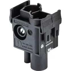 Wieland Hochstromstecker-Modul 78.116.0253.0