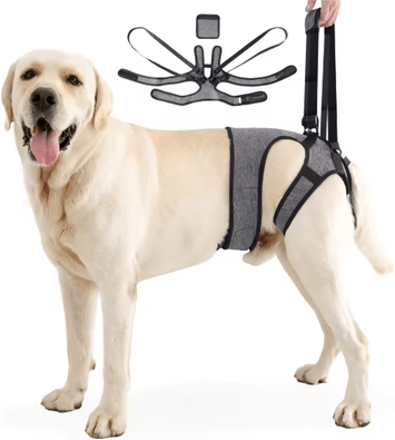 Inspire Picks Adjustable Dog Lift Harness For Back Leg Support & Walking Assistance gray l