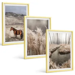 BILDER SET 3er Set - 40x60 cm Goldrahmen - Pferde, Landschaft, Gras, Bach