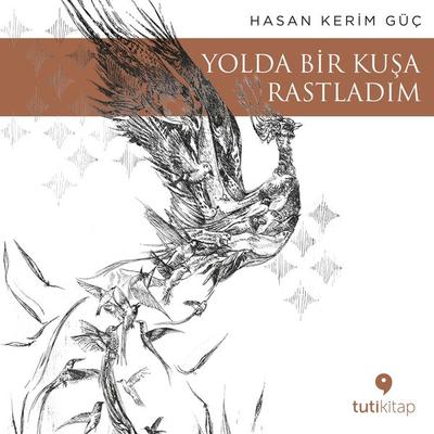 Yolda Bir Kuşa Rastladım - Hasan Kerim Güç, Audio, 9786057365477