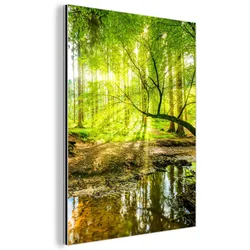 METALLBILD Wald - Landschaft - Wasser - Bäume - Sonne - Grün - Natur 60x80 cm
