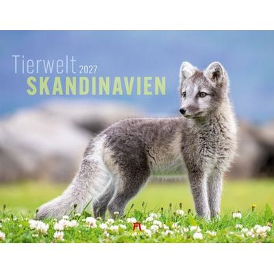 Tierwelt Skandinavien Kalender 2027