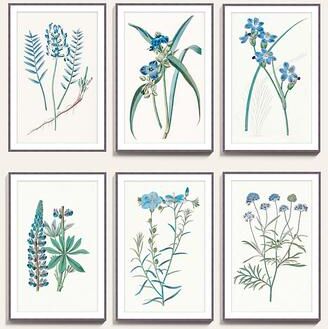 "Botanical Sapphire Art - Print VI, 27"" x 19"" - Ballard Designs"