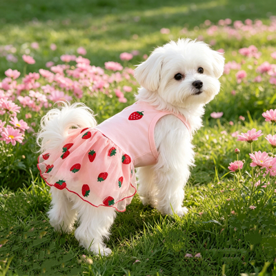 Fusion Finds Princess Dog Dress For Small Dogs Lightweight Summer Dog Clothes For Chihuahua & Yorkie Puppies pink xl