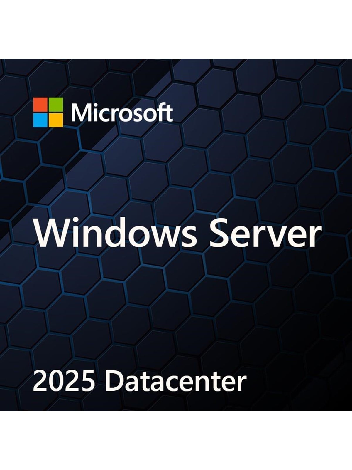 Microsoft Windows Server 2025 Datacenter - DVD-ROM - Polieren