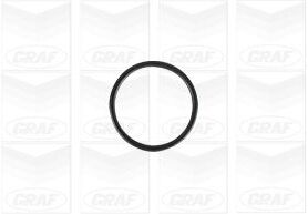 Graf Wasserpumpe Pa1138 Für Bmw