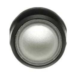 ABB MP2-11C Leuchtdrucktaster, farblos, flach-verrastend, Frontring Kunststoff schwarz, beleuchtbar 1SFA611101R1108