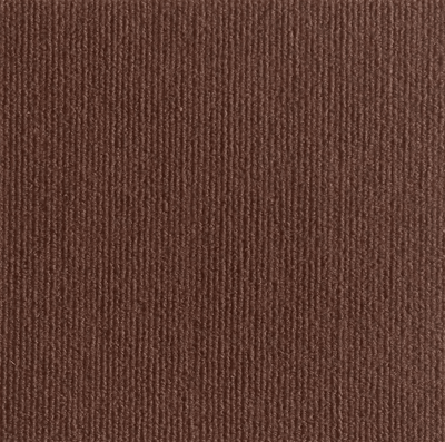 Inspire Curations ScratchShield Self Adhesive Cat Scratch Furniture Protector brown 30x30cm
