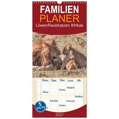 Familienplaner 2027 - Löwen - Raubkatzen Afrikas mit 5 Spalten (Wandkalender, 21 x 45 cm) CALVENDO