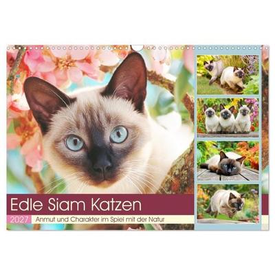 Edle Siamkatzen. Anmut und Charakter im Spiel mit der Natur (Wandkalender 2027 DIN A3 quer), CALVENDO Monatskalender