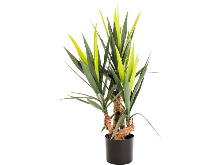 Yucca - Material: Kunststoff - 173