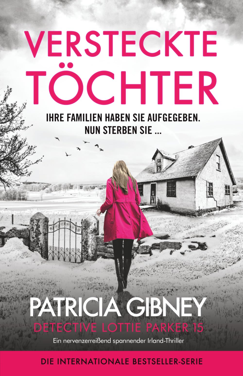 Patricia Gibney - Versteckte Töchter: Ein nervenzerreißend spannender Irland-Thriller (Detective Lottie Parker, Band 15) - Preis vom 17.10.2026 19:25:27 h