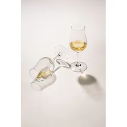 Whiskyglas-Set BAR SPECIAL (DH 6,60x17,50 cm) - transparent - DH 6,60x17,50 cm