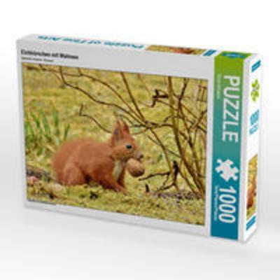 CALVENDO Puzzle Eichhörnchen mit Walnuss 1000 Teile Lege-Größe 64 x 48 cm Foto-Puzzle Bild von René Schaack