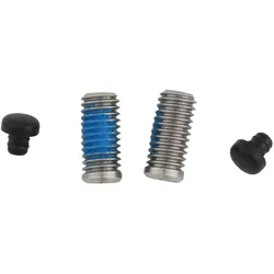SRAM Einstellschraube S900 Direct Mount silber