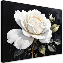 LEINWANDBILD, Weiße Rosenblüte auf schwarzem Hintergrund