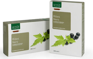 NATURA SERVICE Srl Integratore Ribes Nero BIO - Drenaggio e Benessere Articolare
