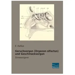 Geruchsorgan (Organon olfactus) und Geschmacksorgan, Fachbücher von E. Kallius, E Kallius