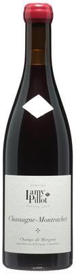 """Domaine Lamy Pillot""" """Domaine Lamy Pillot Chassagne-Montrachet Champs de Morgeot Rouge 2023 Red Wine - France"""